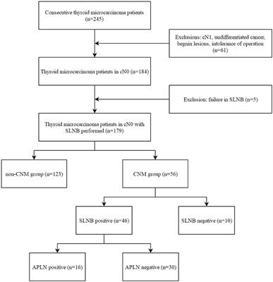 Risk Factors of Central Lymph Node Metastasis in Papillary Thyroid Microcarcinoma and the Value of Sentinel Lymph Node Biopsy